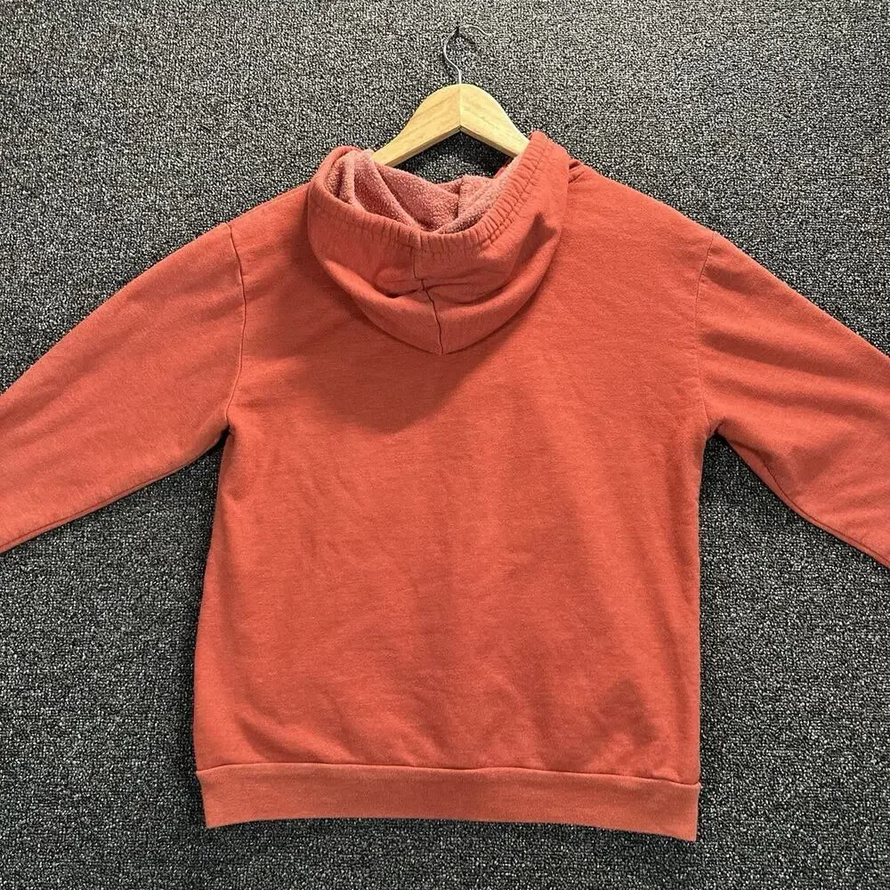 Looney Tunes Classic Character M7-9 Pull Over Hoodie Rust Front CharaGraphic
